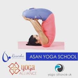 Asanyoga is Best School for Yoga in Ahmedabad